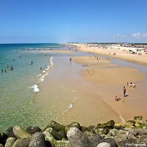 Palm Tree By Homing , Tavira Portugal